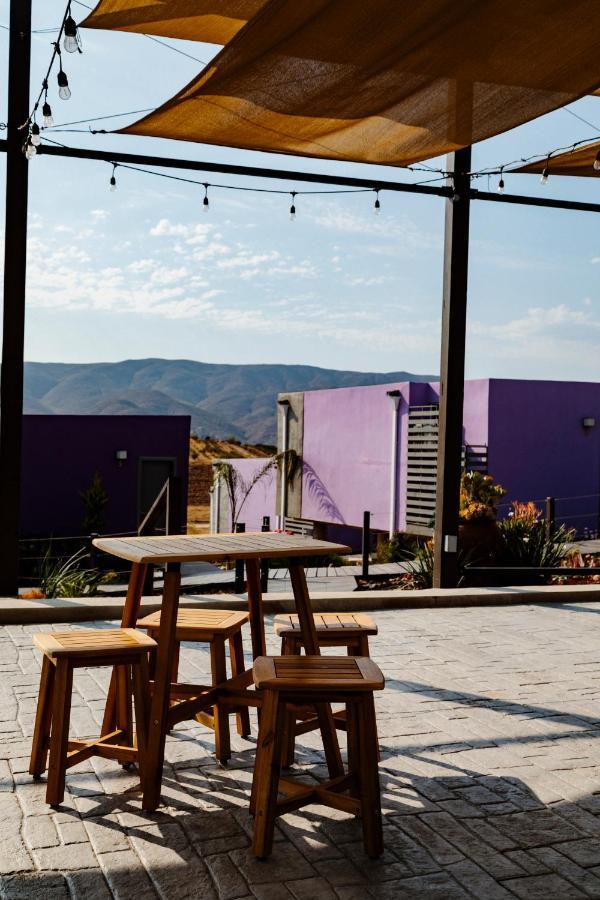 Villa Flor De Cera Valle de Guadalupe Exterior foto