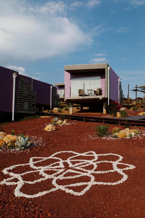 Villa Flor De Cera Valle de Guadalupe Exterior foto