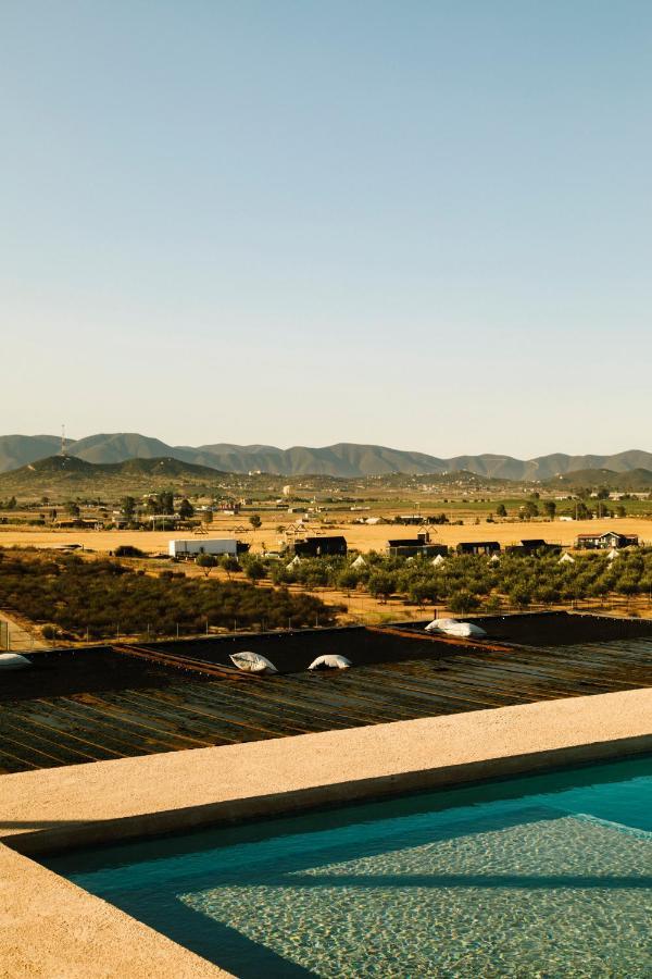 Villa Flor De Cera Valle de Guadalupe Exterior foto